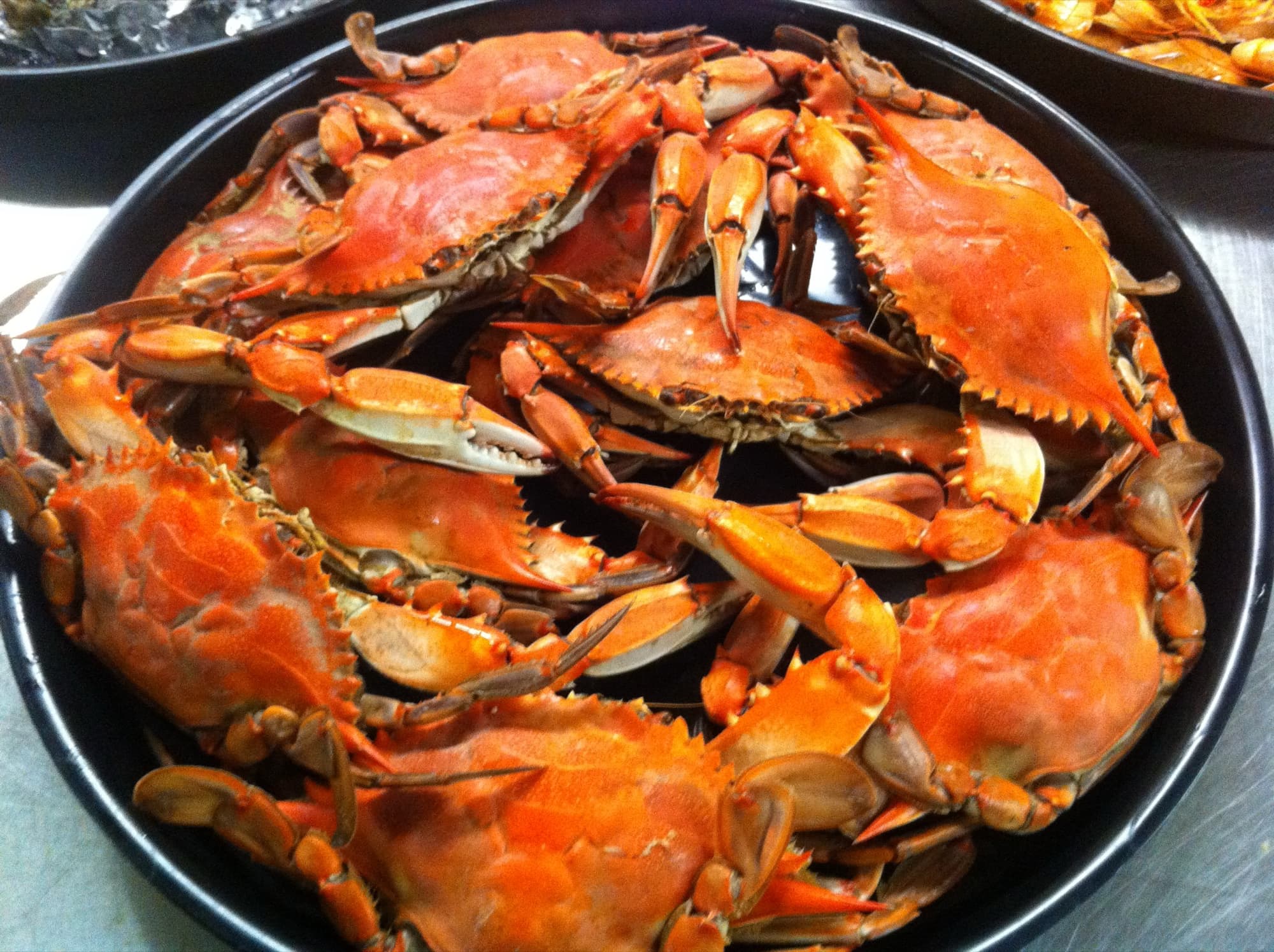Freshly cooked blue crabs, a Chesapeake Bay species, piled on a table.