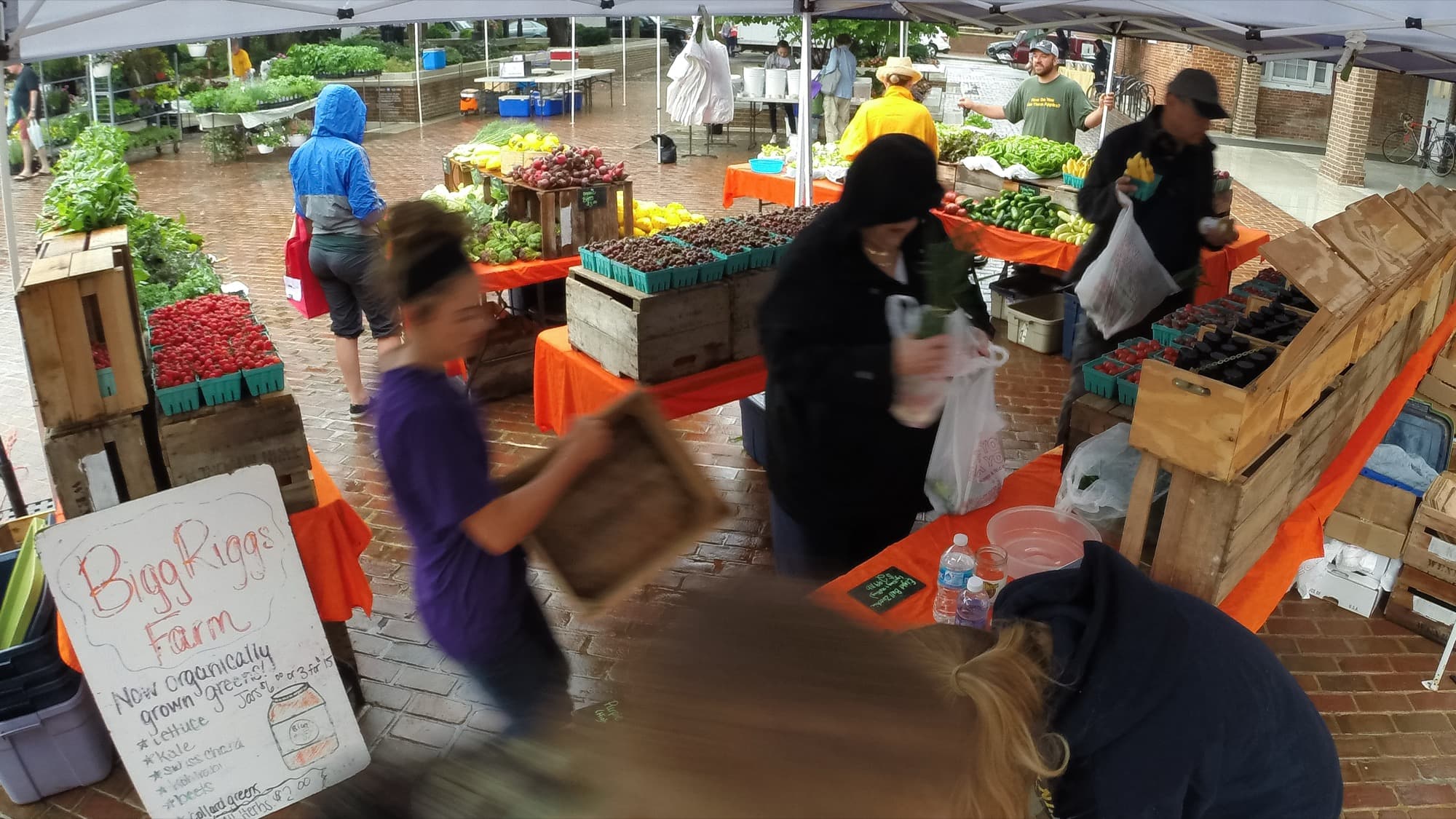 A vendor's produce stand at an outdoor farmers market, with a customer browsing.