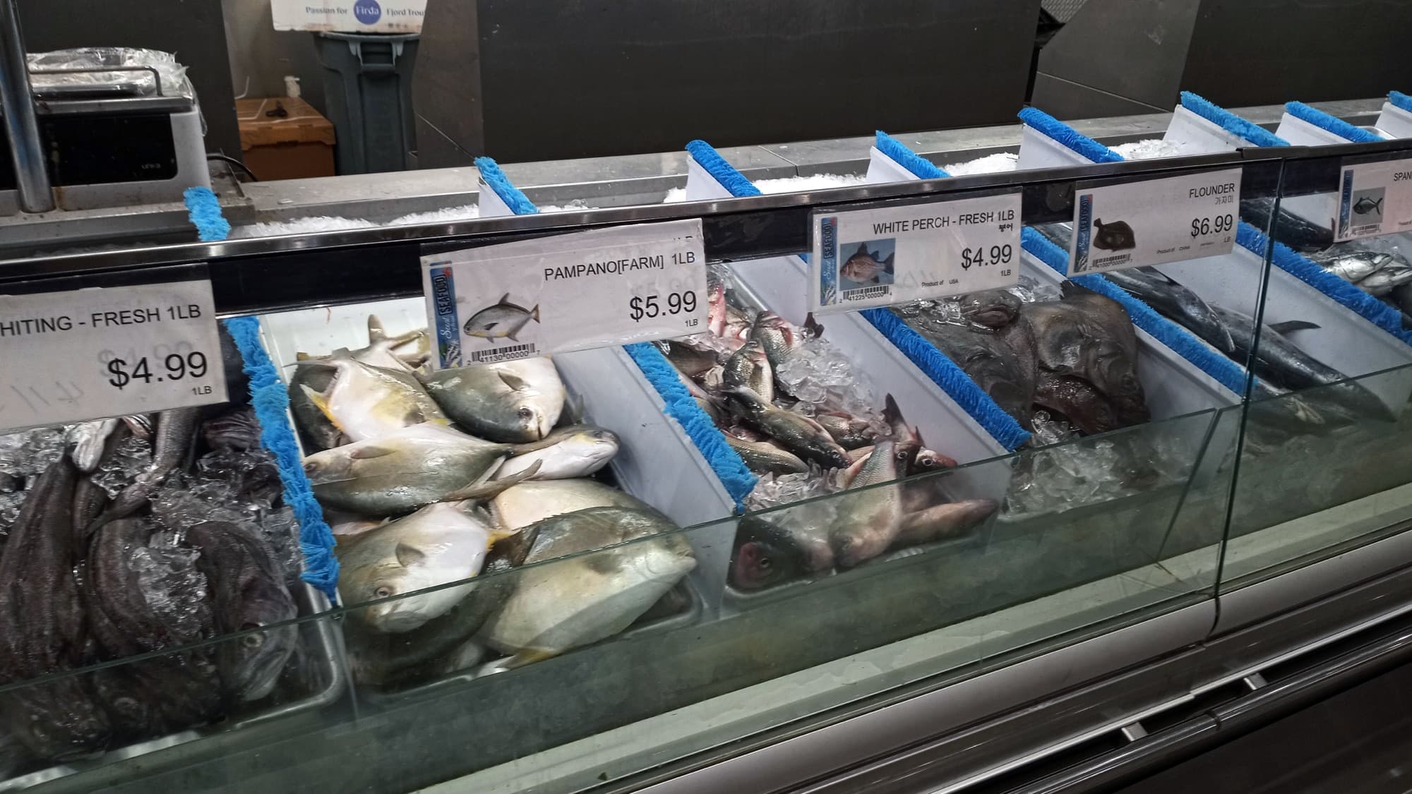 Whole fresh fish displayed for sale on ice at a seafood counter, with English and Korean signage.