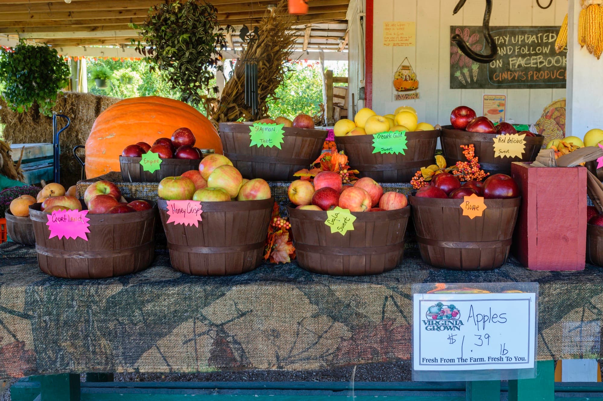 Eight varieties of apples in wooden crates at an outdoor farmers market produce stand.