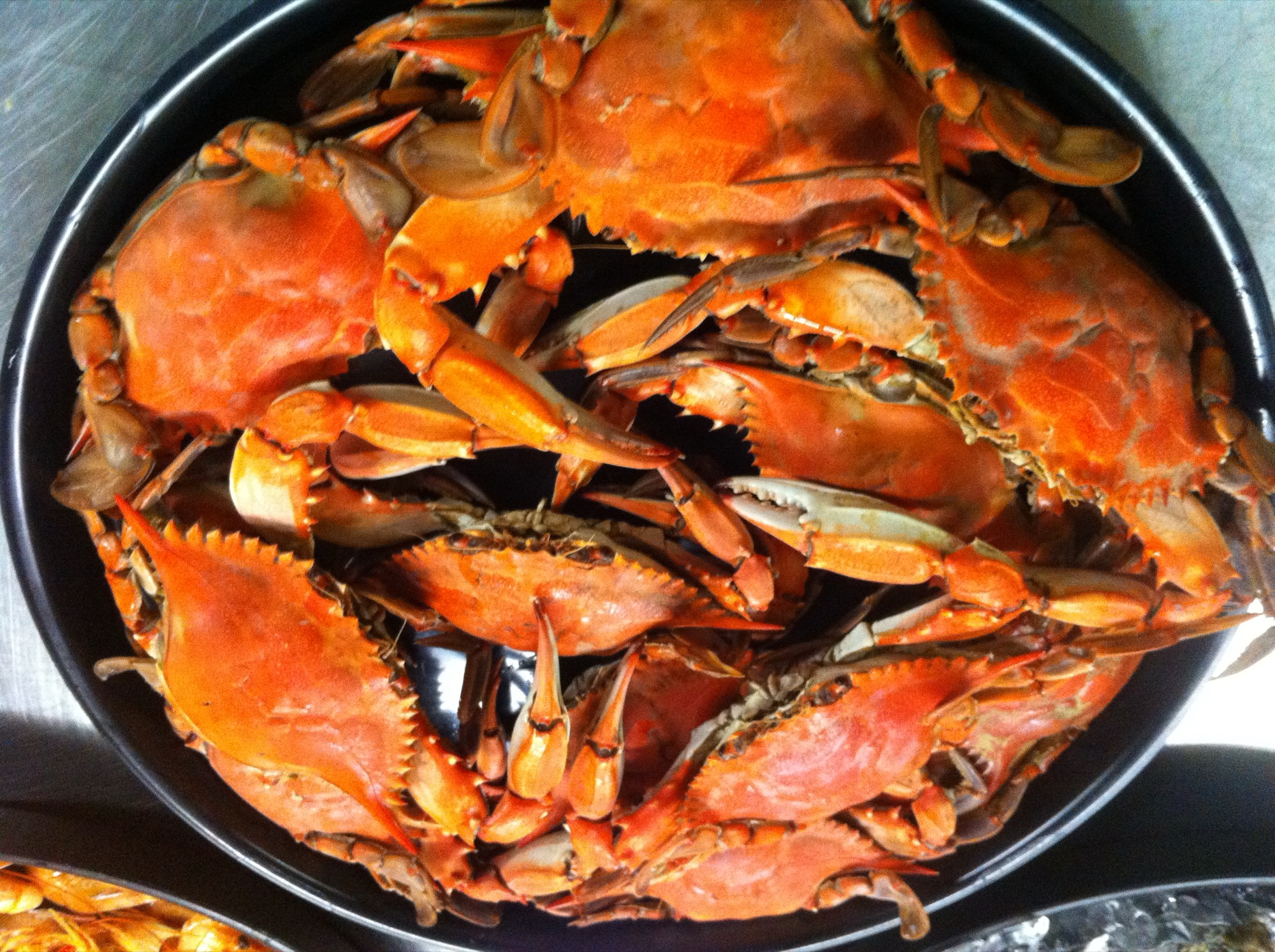 Freshly cooked blue crabs, a Chesapeake Bay species, piled on a table.