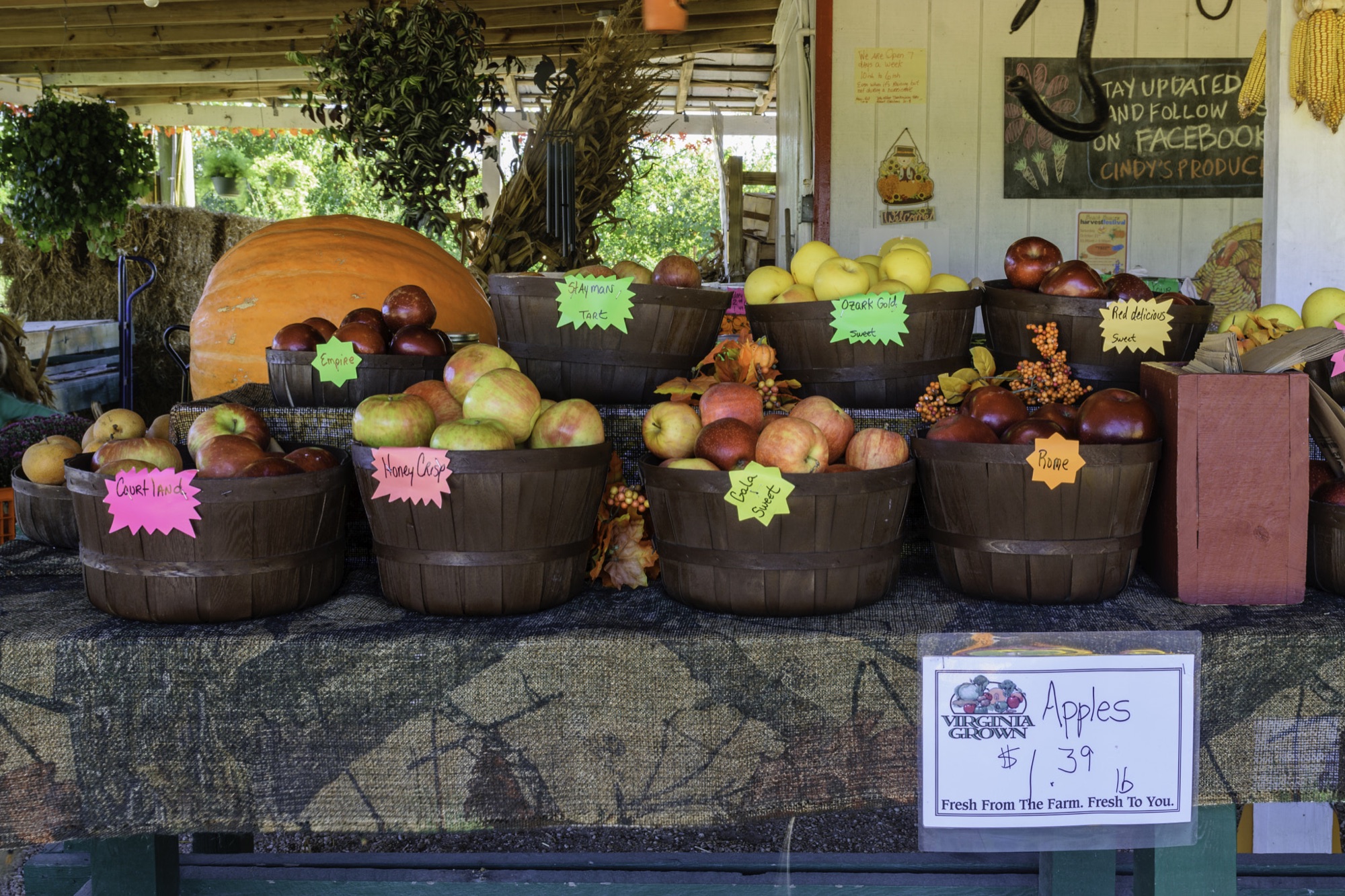 Eight varieties of apples in wooden crates at an outdoor farmers market produce stand.